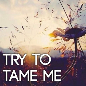 Try to tame me quotes flower sky clouds sun wild free hippie try tame