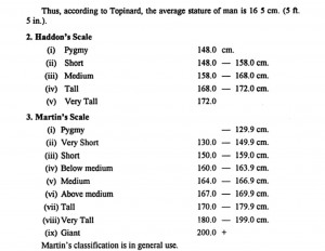 Average Height For Men Worldwide