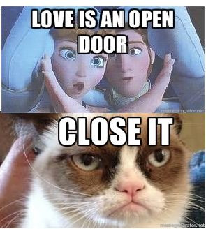 Frozen~Grumpy cat lol