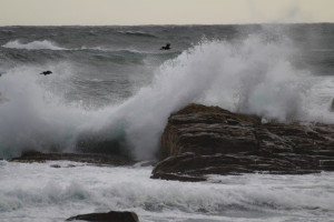 Cape Town (Read 1,927 times)