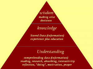 The Cromes Chronicle: Wisdom, Knowledge, and Understanding