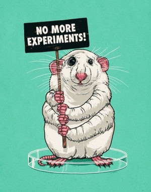 funny-rat-lab-experiments