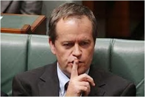 the case of Bill Shorten! Kevin Rudd ! or Chris Bowen my answer is ...