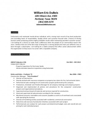 Insurance Claims Adjuster Resume Sample