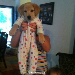 亲，笑一个， 搞笑图片。_搞笑图片吧_百度贴吧