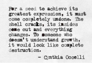 Life,hardship,quotesComplete Destruction, Cynthia Occelli, Life ...