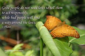 good people do not need laws to tell them to act responsibly, while ...