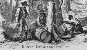 making turpentine in north carolina ballou s pictorial may 12