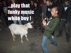Play That Funky Music White Boy