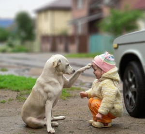 Super Cute Pictures of a Little Girl and Her Dog