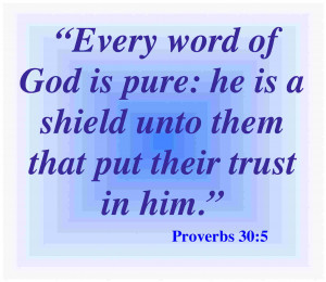 Proverbs 30.5 Bible Verse