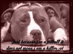 Inspirational pit bull pictures and sayings. (Facebook.com)