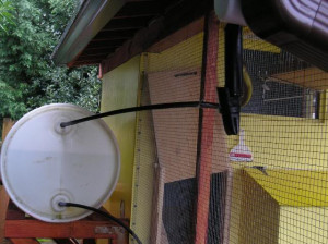 homemade chicken watering systems