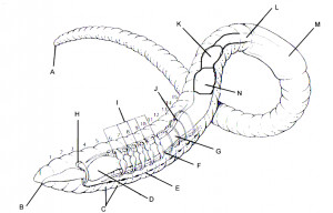 birthday quotes family quotes friendship quotes inspirational quotes ...