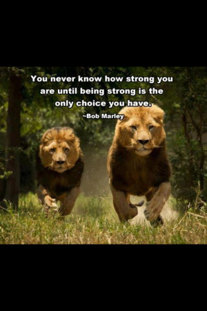 lions quotes about strength