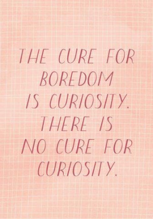 the cure for boredom is curiosity
