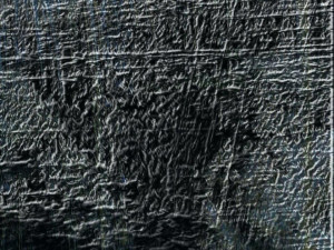 Every man is a damn fool for at least five minutes every day; wisdom ...