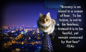 quotes about bravery