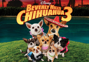 Hills Chihuahua Viva...