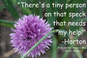 this quote from the animated movie horton hears a who