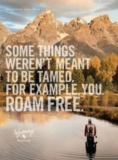 Some Things Weren’t Meant To Be Tamed. For Example.You. Roam Free.