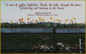 Host Of Daffodils Digital Art - A Host Of Daffodils Fine Art Print