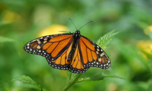 14 Quotes To Brighten Someone’s Day