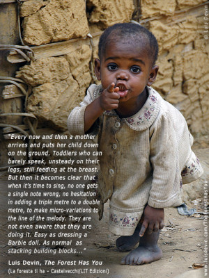 RAINFOREST AND AFRICAN PYGMIES