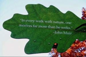 Nature quote - John Muir