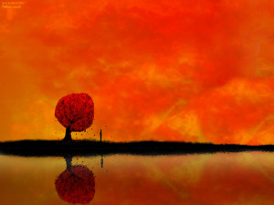 orange-arbre-ciel-orange-big.jpg