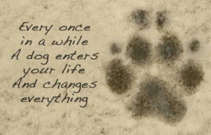 Dogs Quotes, Puppies, Heart, Friends, Pets, Fur, So True, Dogs Lovers ...