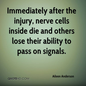 Immediately after the injury, nerve cells inside die and others lose ...