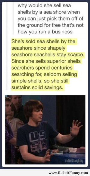 funny-shell-sea-seashore