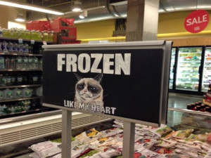 Grumpy Cat - Frozen