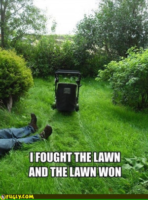 Fought The Lawn And The Lawn Won