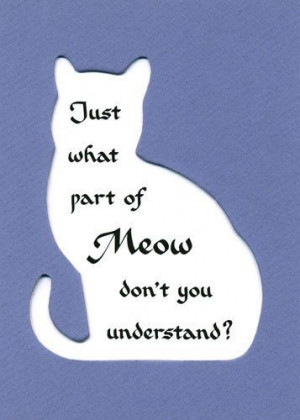 Just What Part Of Meow Don’t You Understand. ~ Cat Quotes