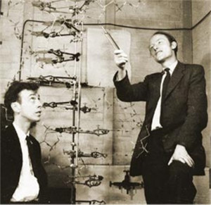 Watson and Crick with DNA model