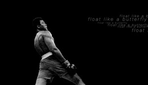 exercise animating Muhammad Ali's famous Float like a Butterfly quote ...