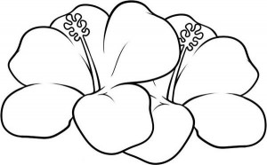 Hawaiian Flower Coloring Pages