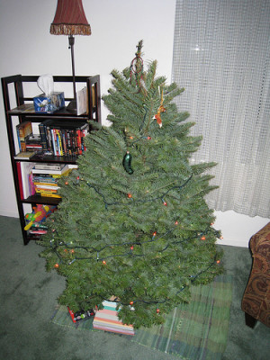 bad christmas tree photo by ugly christmas trees cheap christmas tree ...