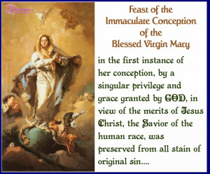 ... of the Immaculate Conception of the Blessed Virgin Mary Pic Quote