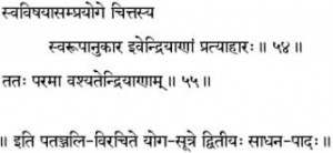 Indian languages literature - Patanjali Yoga sutra Sanskrit text