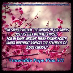 Pope Pius XII Quotes