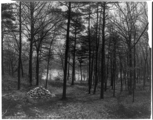 Site of Thoreau’s hut Lake Walden, Concord, Mass. foto LOC