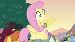 Hurricane Fluttershy - My Little Pony Friendship is Magic Wiki
