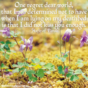 Gratitude: Day 23 (bonus day)