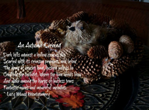 photo and quote from An Autumn Evening