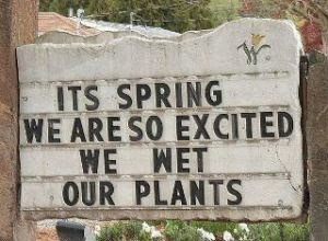 Funny Spring Wet Plants Sign Picture - It's spring, we are so excited ...