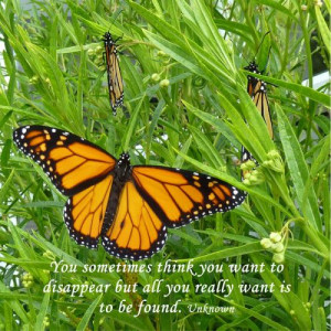 Inspiration Quote with Monarch Butterflies
