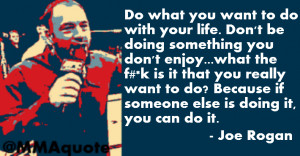 click for more joe rogan quotes